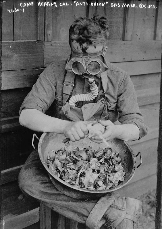 Anti-Onion Gas Mask