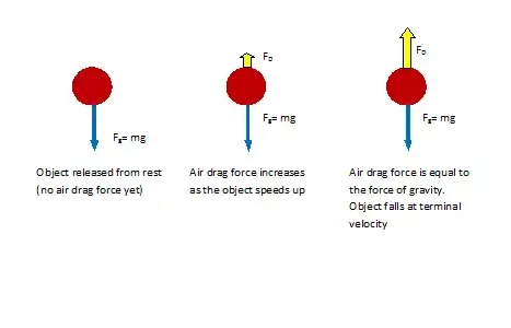 Terminal Velocity